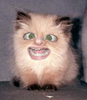 ScliF